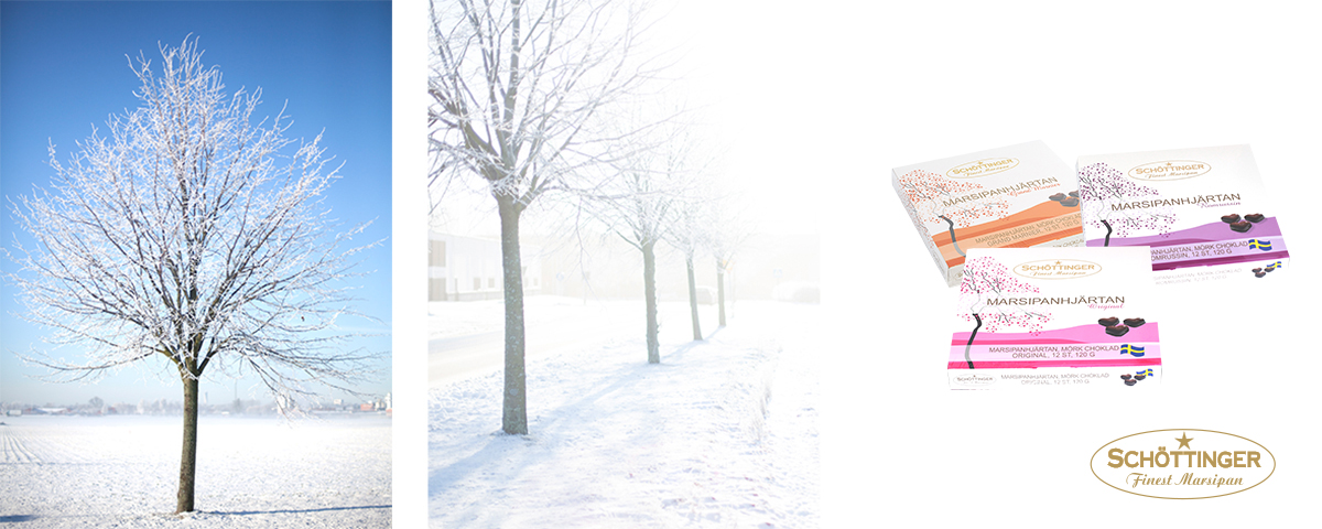 banner_winter_2016_sc_new.jpg